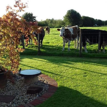 Courtyard Cottage Lockerbie Esterno foto