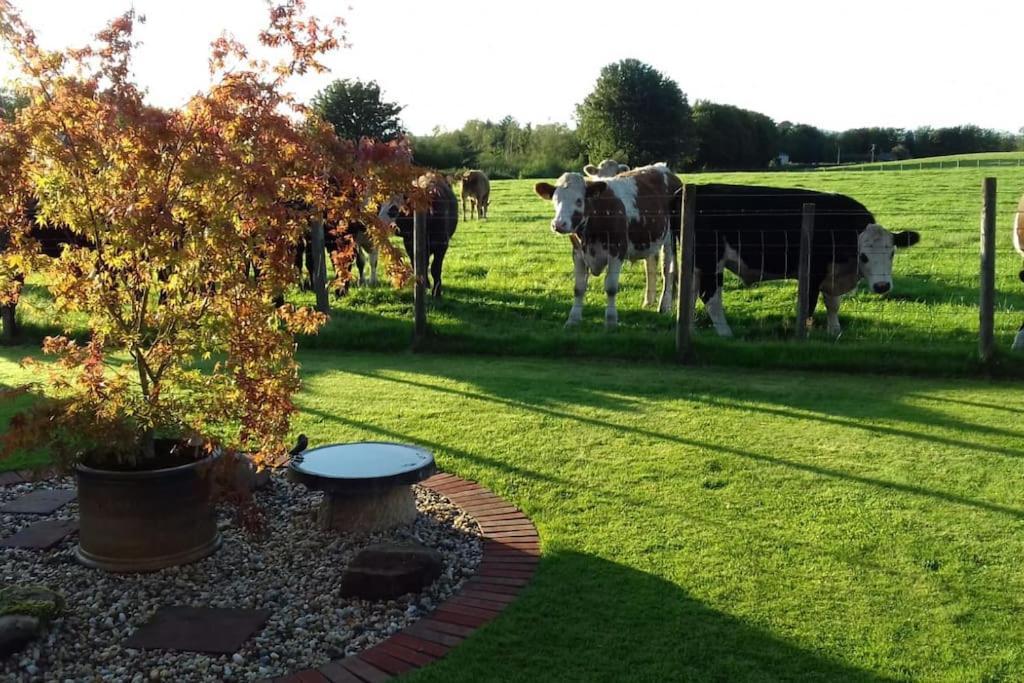 Courtyard Cottage Lockerbie Esterno foto